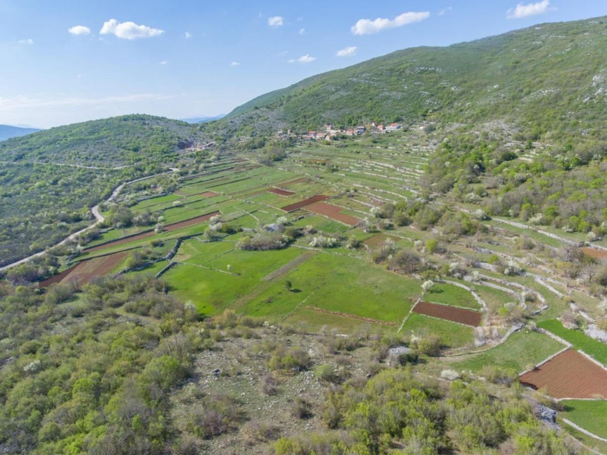 Apartman Iva Krivodol Dış mekan fotoğraf